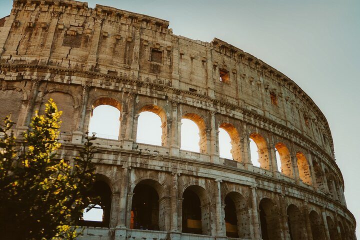 Colosseum, Roman Forum & Palatine Hill Guided Tour, photo 3