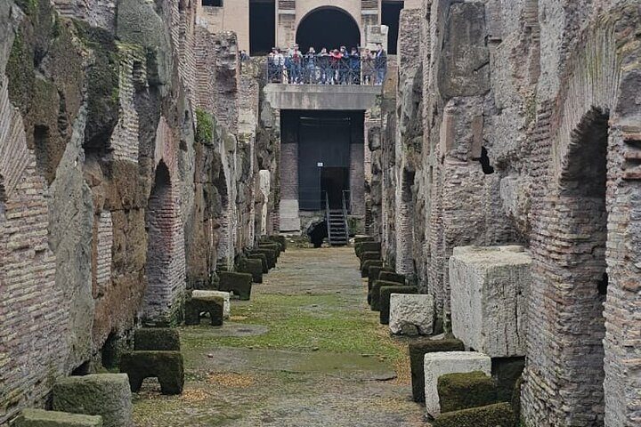 Colosseum Guided Tour: Underground or Arena, Small Group, photo 2